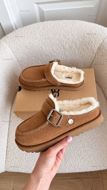 Ugg