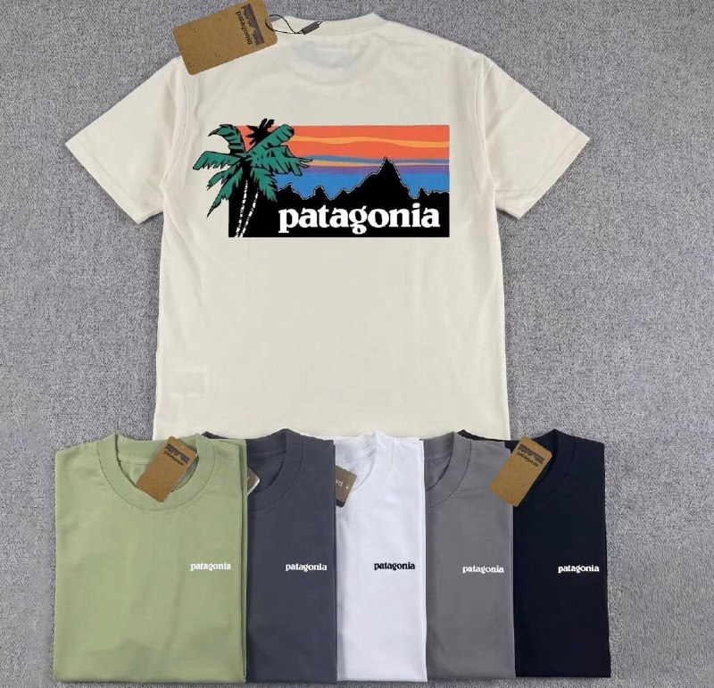 Patagonia T-shirt