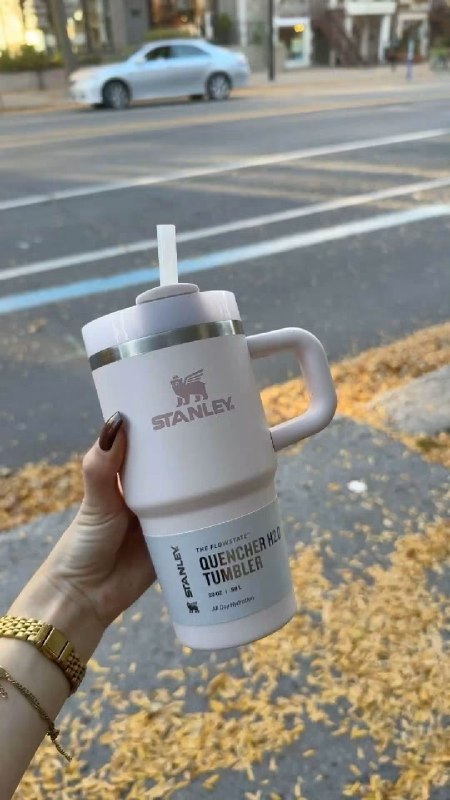 ❤️ StanIey Thermos List